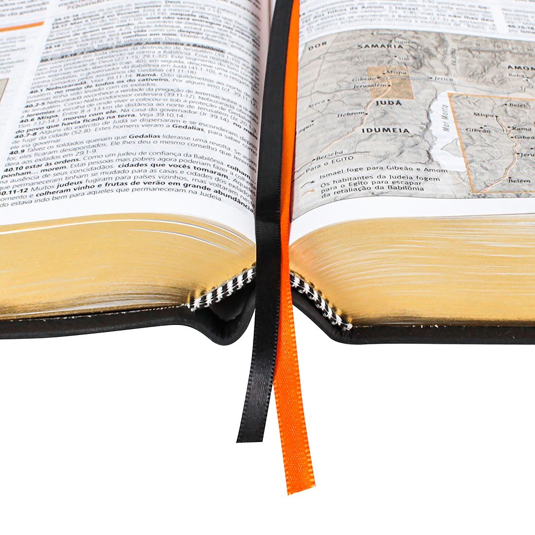 Bíblia de Estudo | NAA | Letra Normal | Capa Couro Legítimo