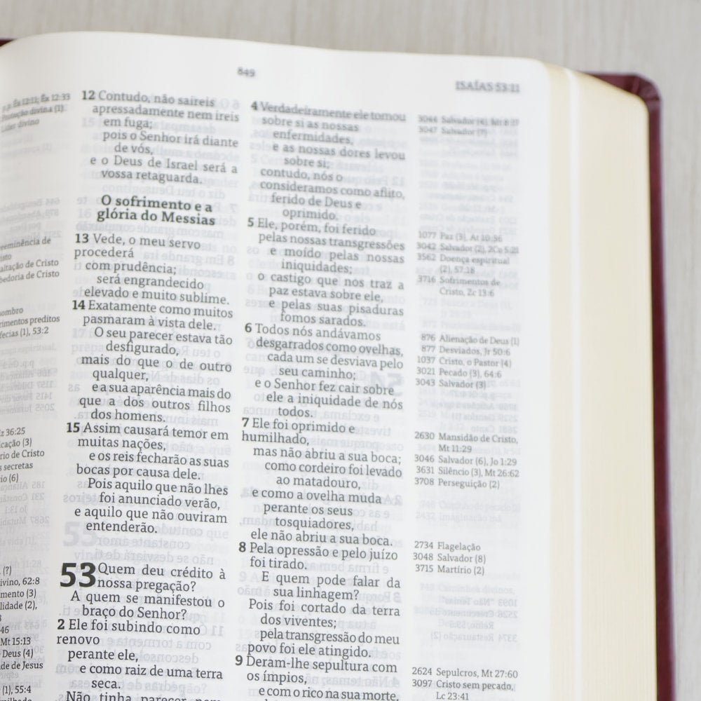 Bíblia Thompson de Estudo | AEC | Letra Grande | Capa Luxo Vinho