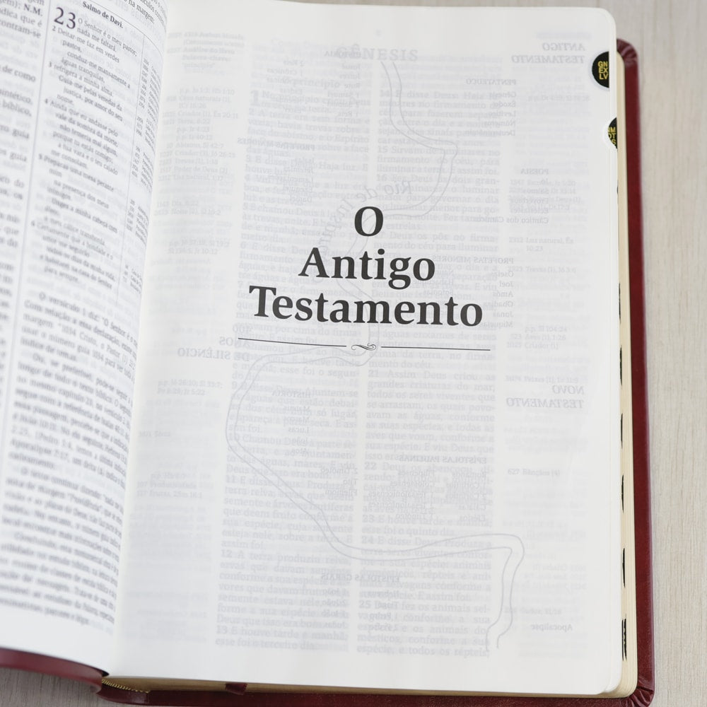 Bíblia Thompson de Estudo | AEC | Letra Grande C/ Índice | Capa Luxo Vinho