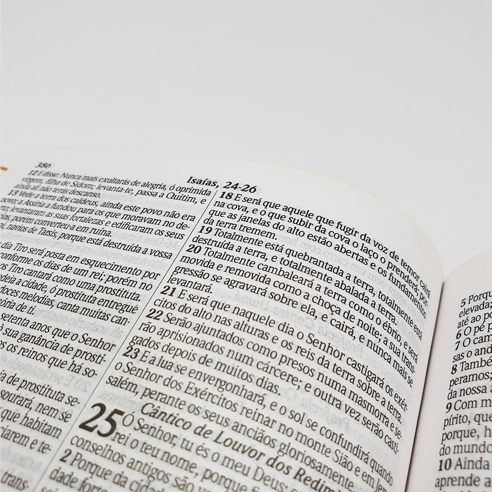 Bíblia com 365 Reflexões e Plano de Leitura | ARC | Hipergigante | Capa Dura