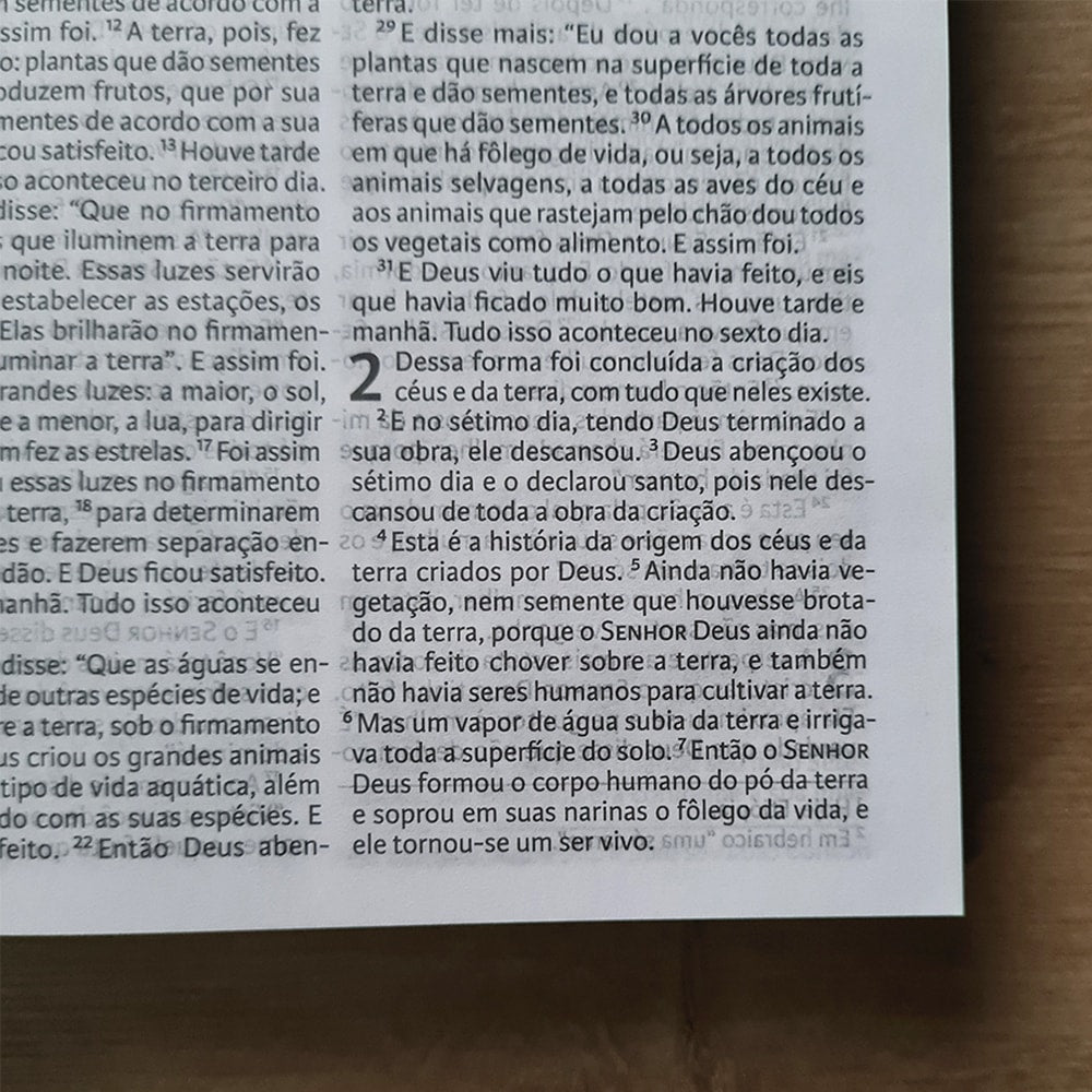 Nova Bíblia Viva Alegria | Letra Normal | Capa Dura