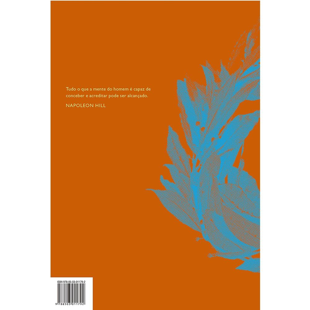 A Lei do Triunfo | 16 Lições Práticas para o Sucesso | Napoleon Hill
