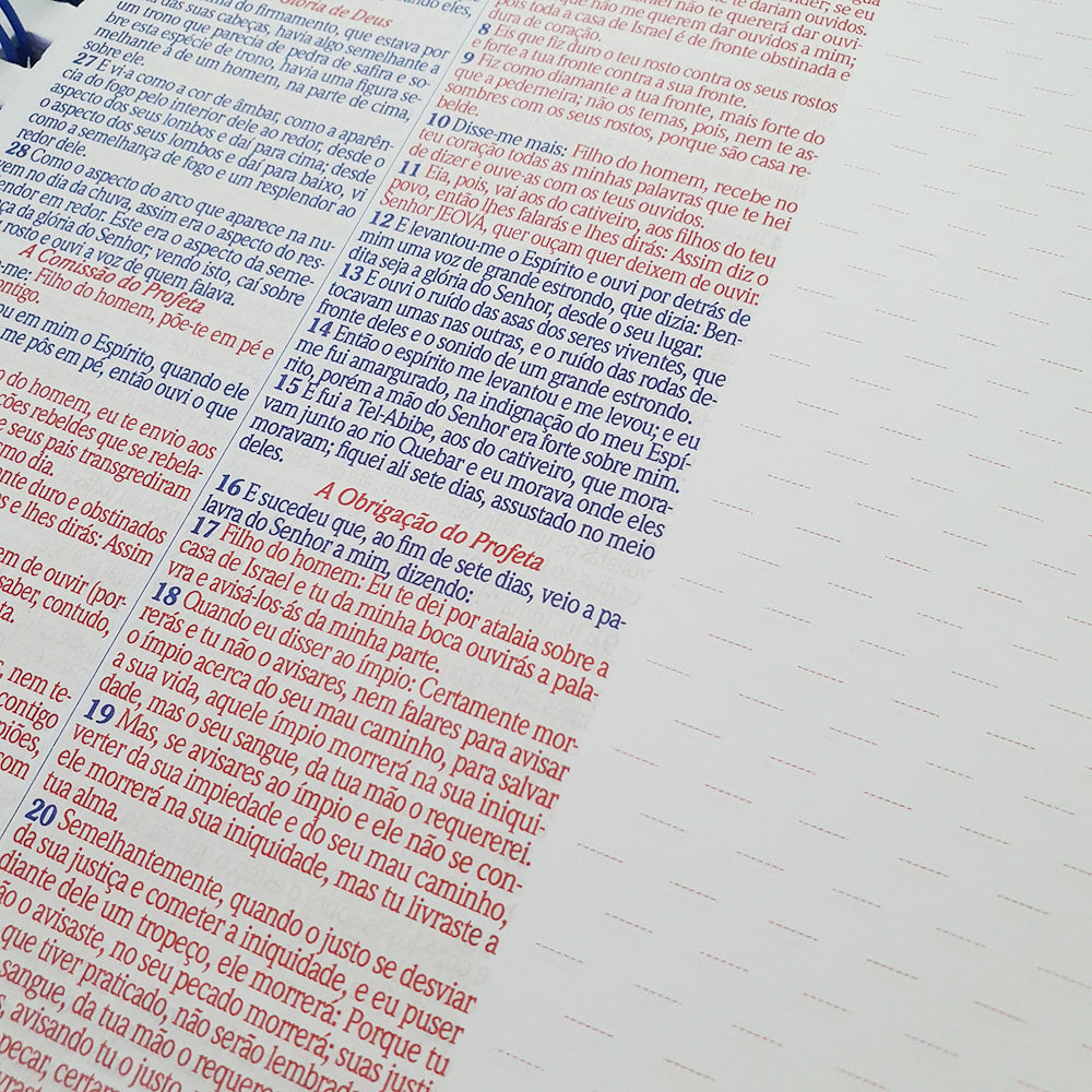 Bíblia com Espaço para Anotações | ARC | Letra Normal | Harpa e Abas | Leão Aquarela Espiral