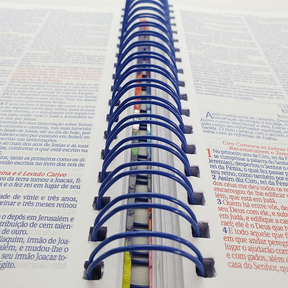 Bíblia com Espaço para Anotações | ARC | Letra Normal | Harpa e Abas | Leão Pintura Perfil Espiral