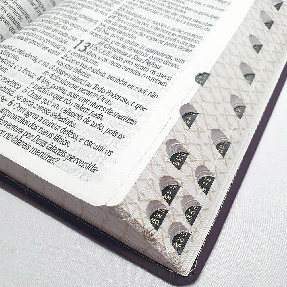 Bíblia Sagrada Harpa Avivada e Corinhos | ARC | Letra Jumbo | Índice | Luxo Preta