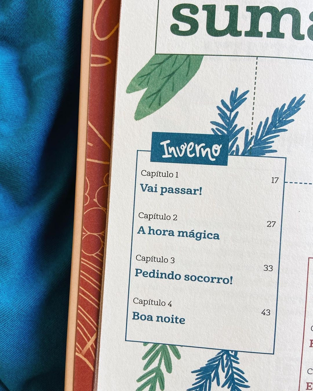 As primeiras Quatro Estações | Fernanda Witwytzky | Capa Dura