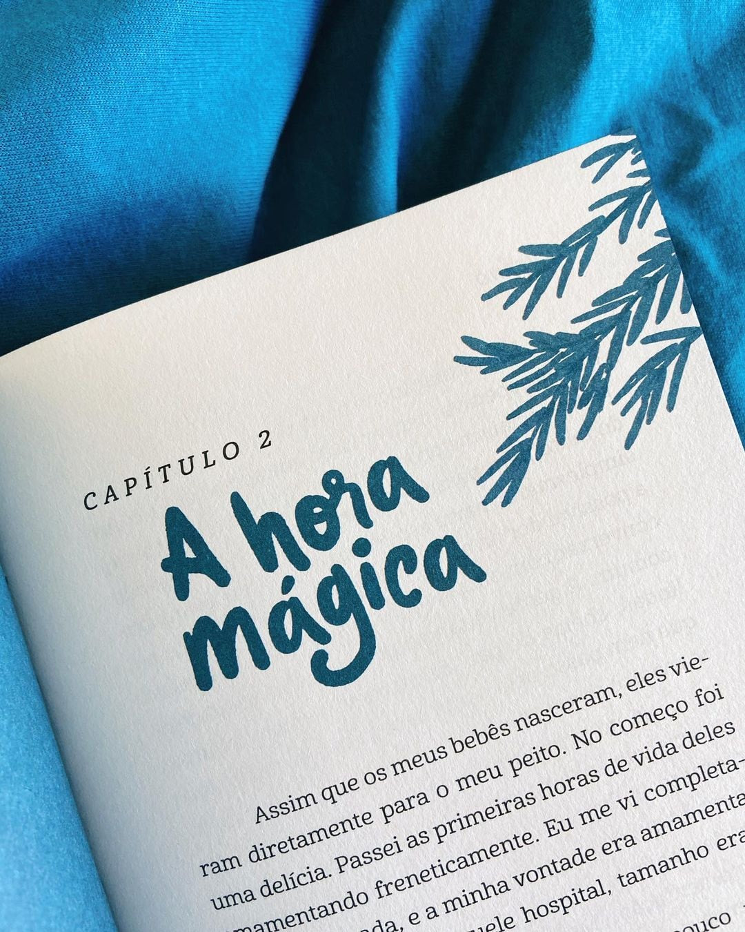 As primeiras Quatro Estações | Fernanda Witwytzky | Capa Dura