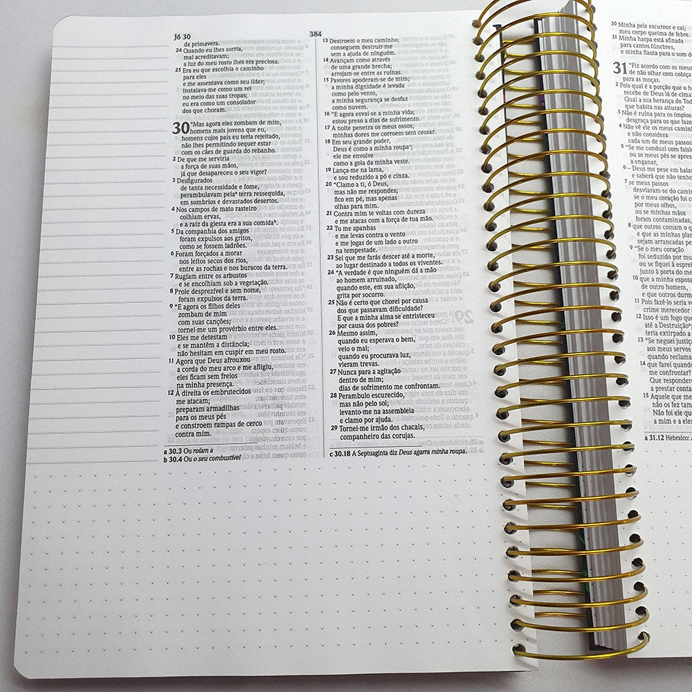 Bíblia Anote Espiral Leão Grafite | NVI | Letra Normal | Com Espaço Para Anotações