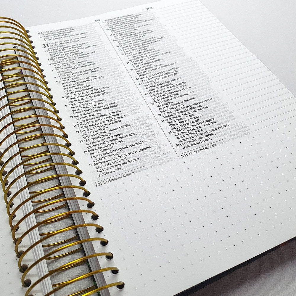 Bíblia Anote Espiral Leão Grafite | NVI | Letra Normal | Com Espaço Para Anotações
