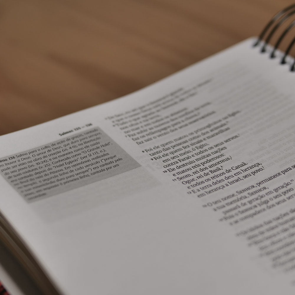 Bíblia Jornada Coração Quebrantado | Espiral | NAA | Letra Grande | Capa Dura