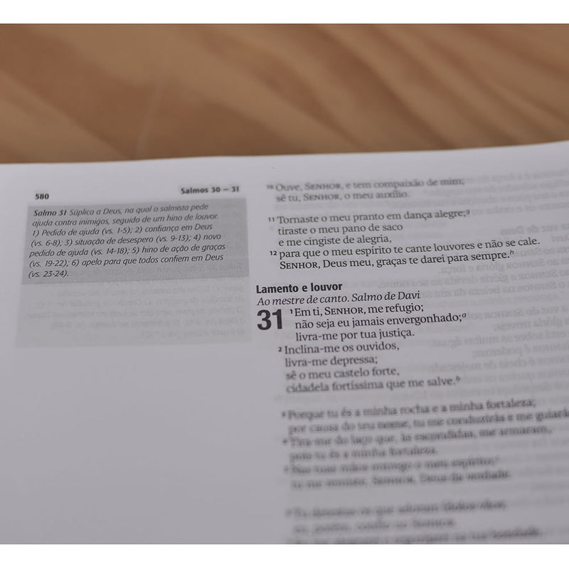 Bíblia Jornada Amor | Espiral | NAA | Letra Grande | Capa Dura