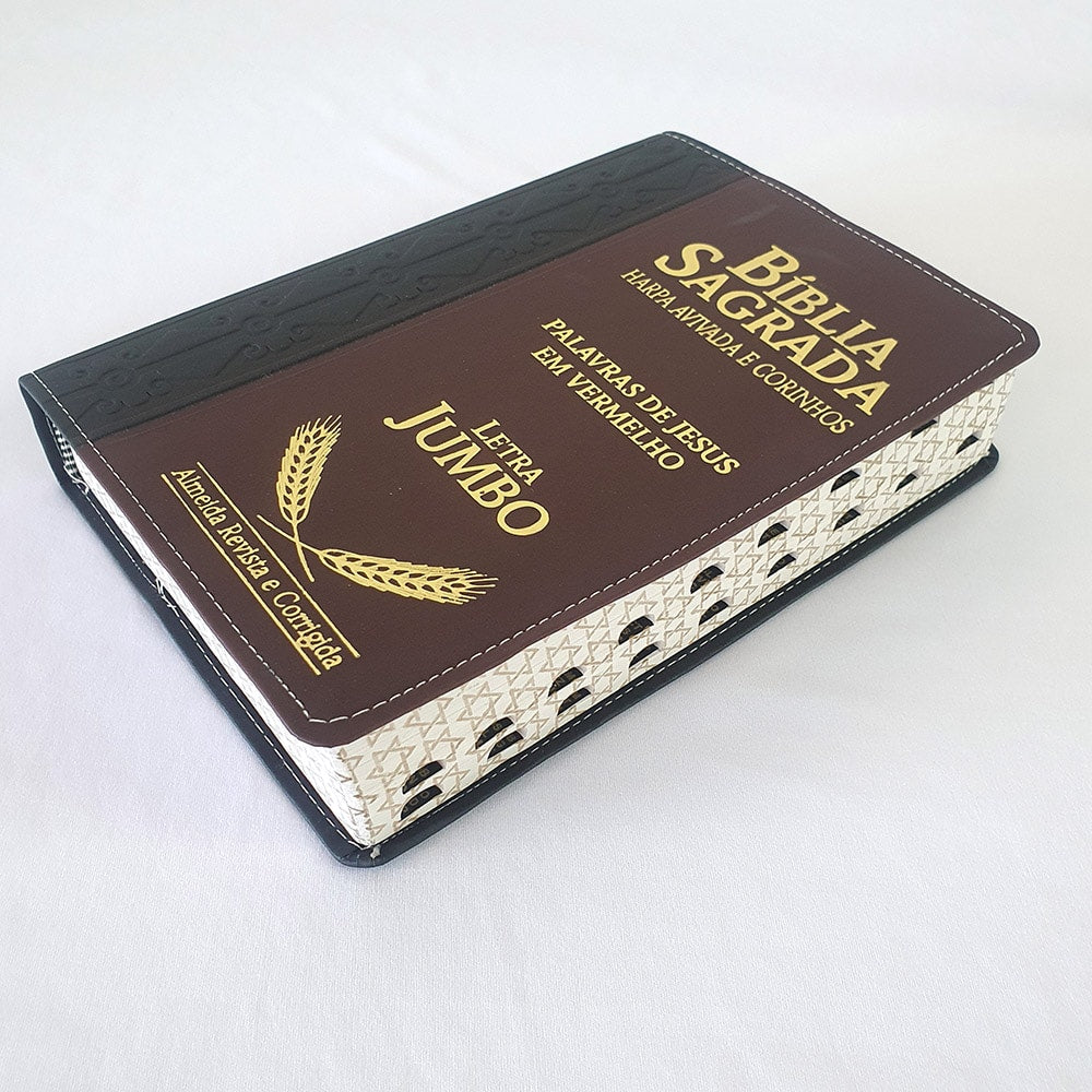 Bíblia Sagrada Harpa Avivada e Corinhos | ARC | Letra Jumbo | Índice | Bicolor Preta e Marrom