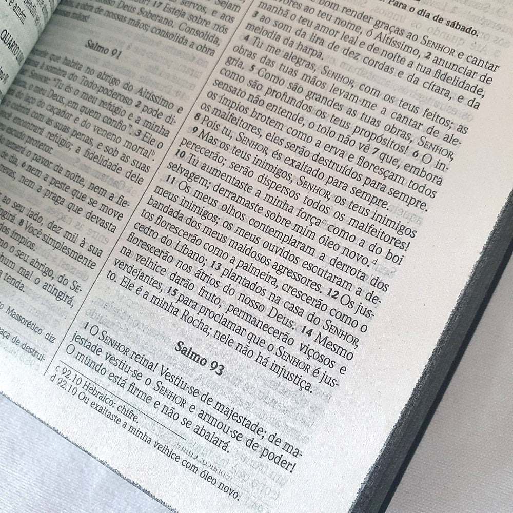 Bíblia Sagrada Média | NVI | Letra Média| Semi Luxo Preta