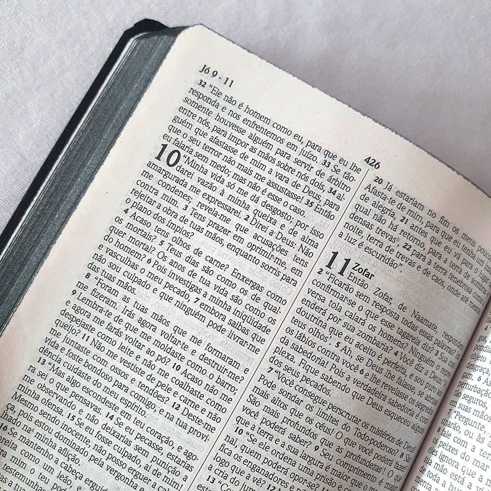 Bíblia Sagrada Média | NVI | Letra Média| Semi Luxo Preta