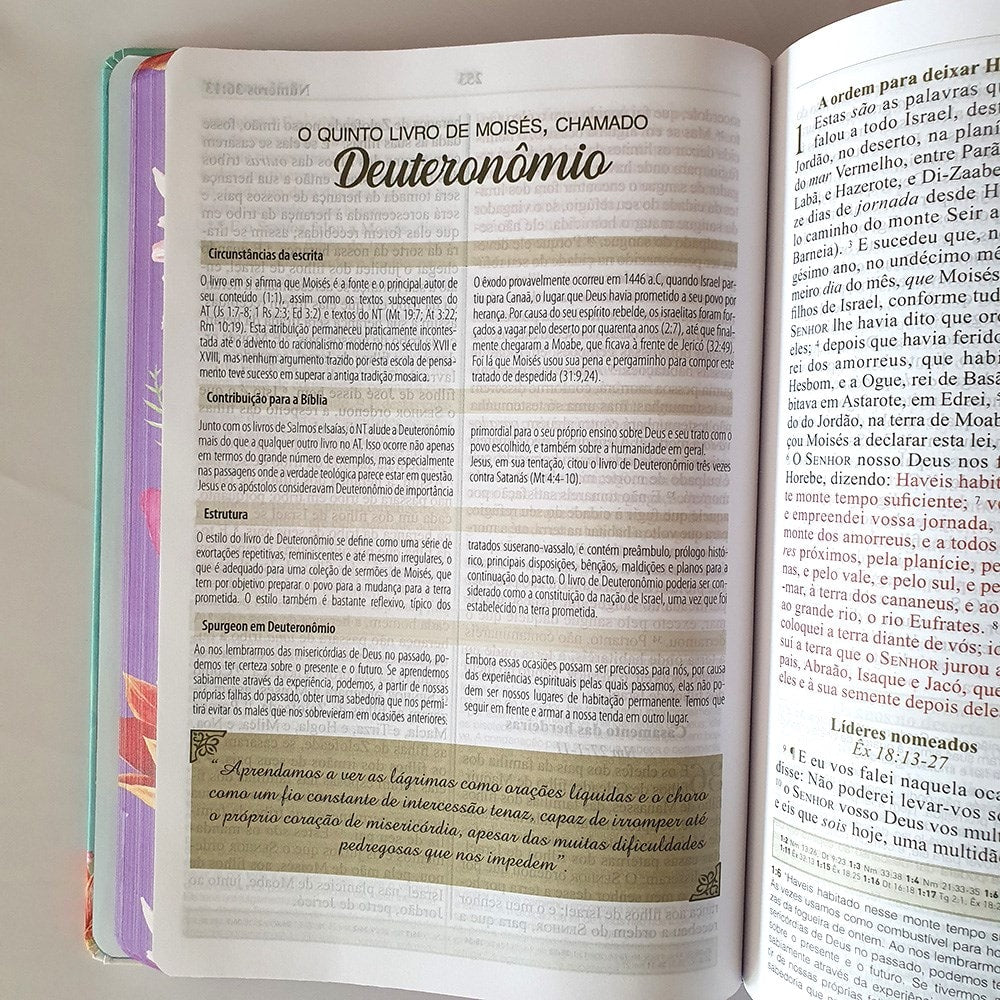 Bíblia de Estudo Spurgeon | King James 1611 | Letra Grande | Luxo | Floral Feminina