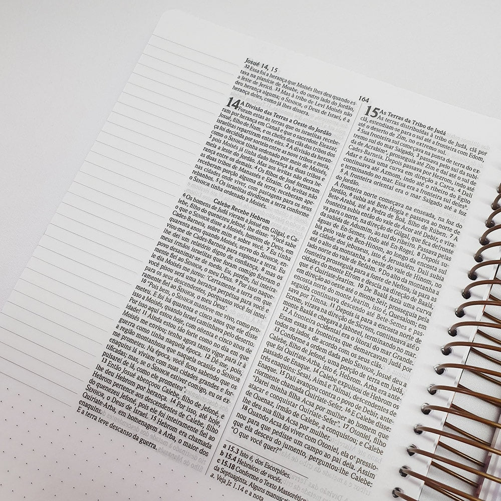 Bíblia Anote Espiral Primavera | NVI | Letra Normal | Com Espaço Para Anotações