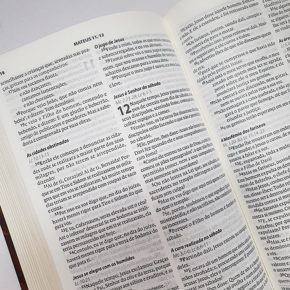 Bíblia Almeida Século 21 | A21 | Letra Média| Capa Dura | Leão de Judá