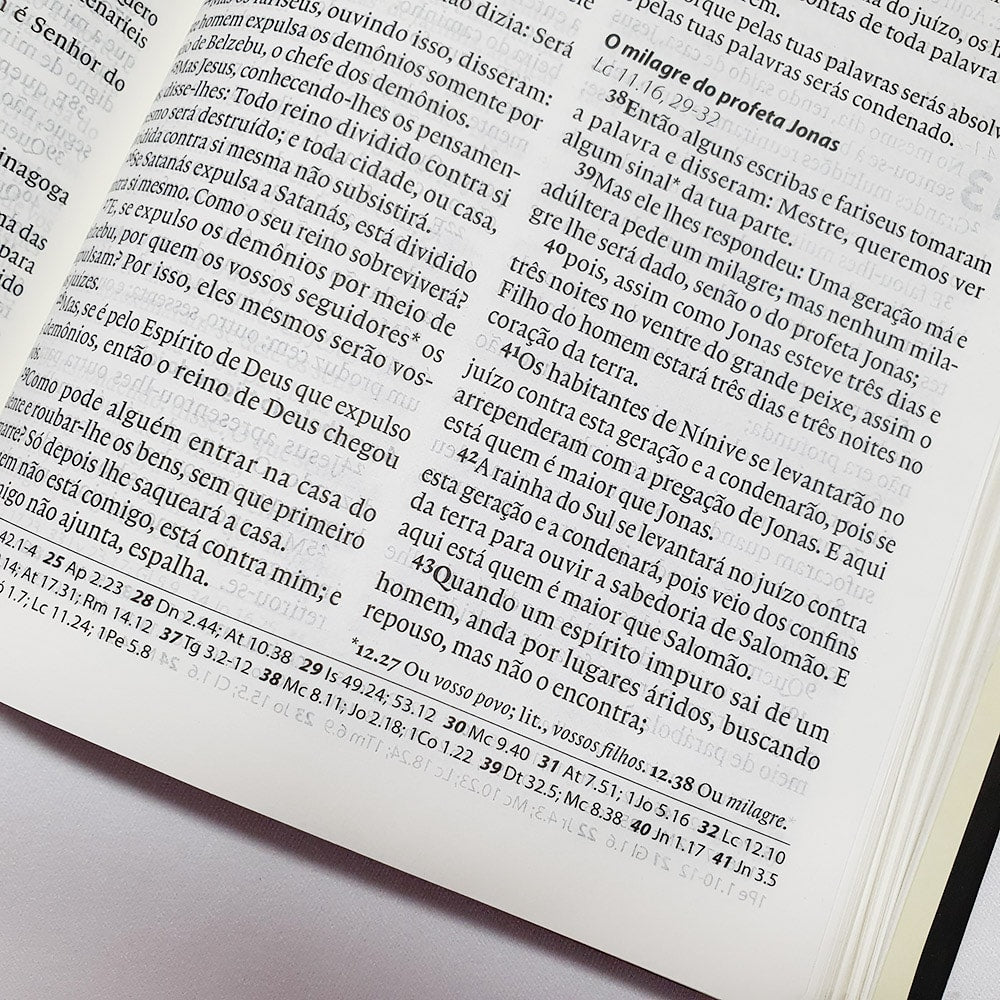 Bíblia Almeida Século 21 | A21 | Letra Média| Capa Dura | Leão de Judá