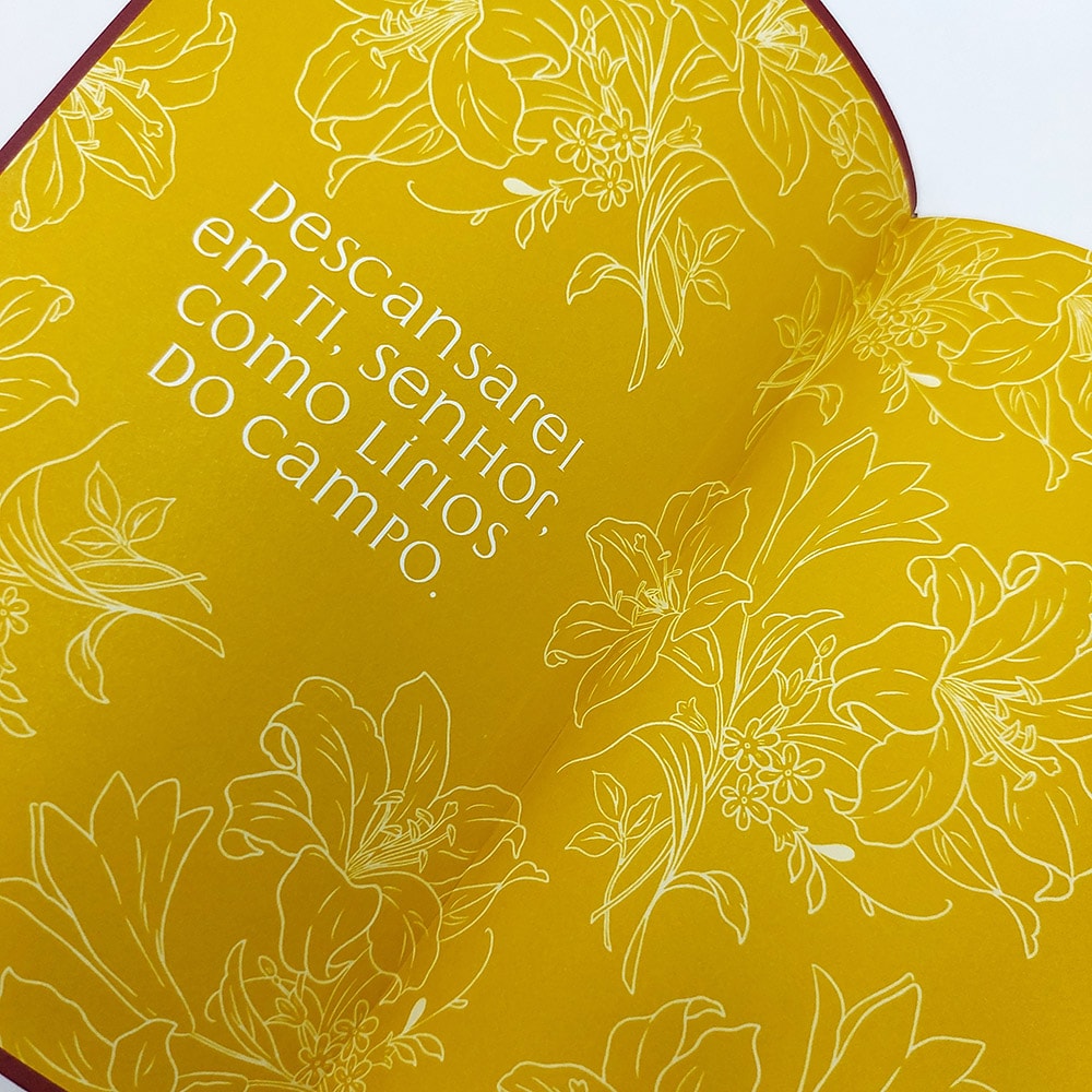 Bíblia da Mulher de Fé | NVI | Comentários Sheila Walsh | Capa Luxo Vinho