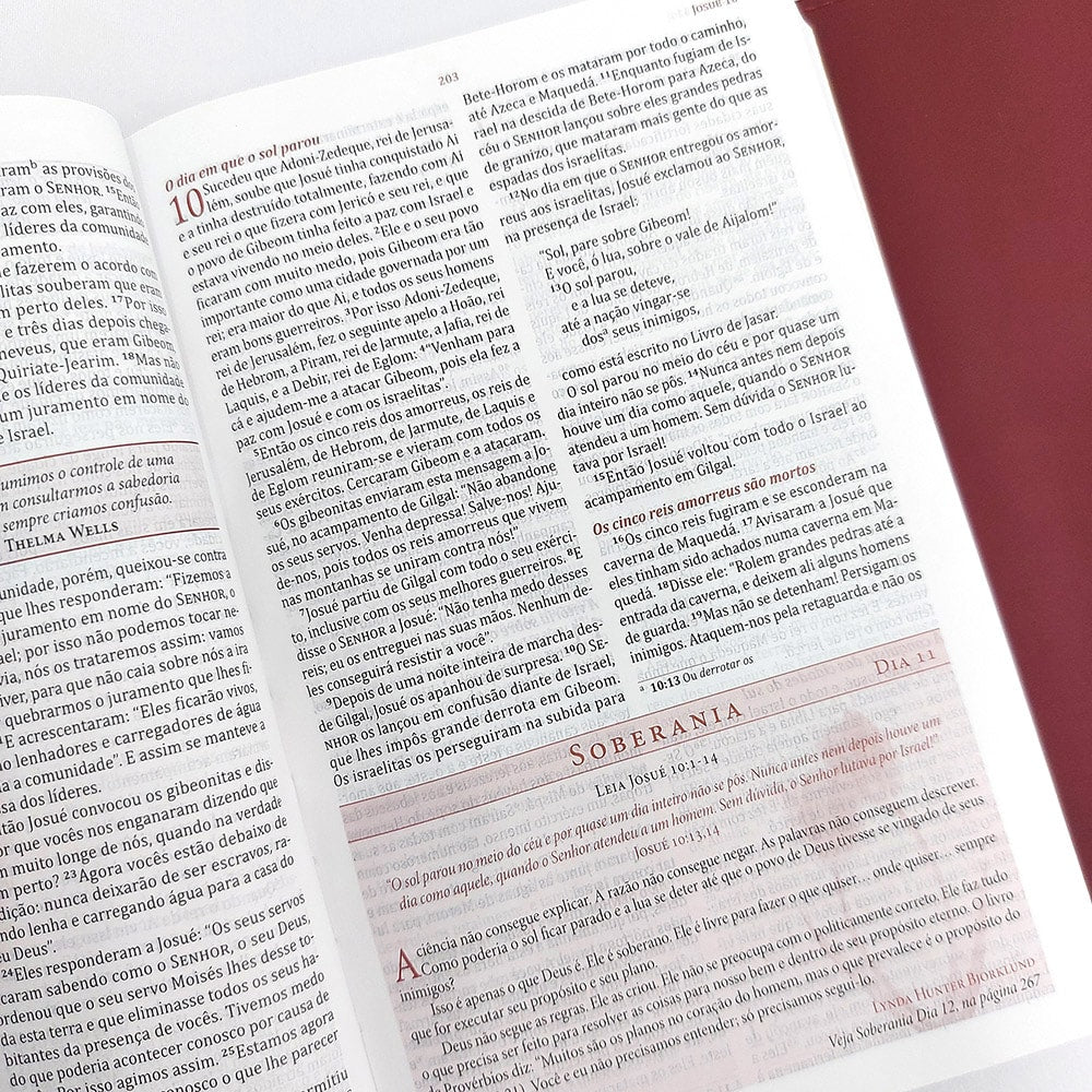 Bíblia da Mulher de Fé | NVI | Comentários Sheila Walsh | Capa Luxo Vinho