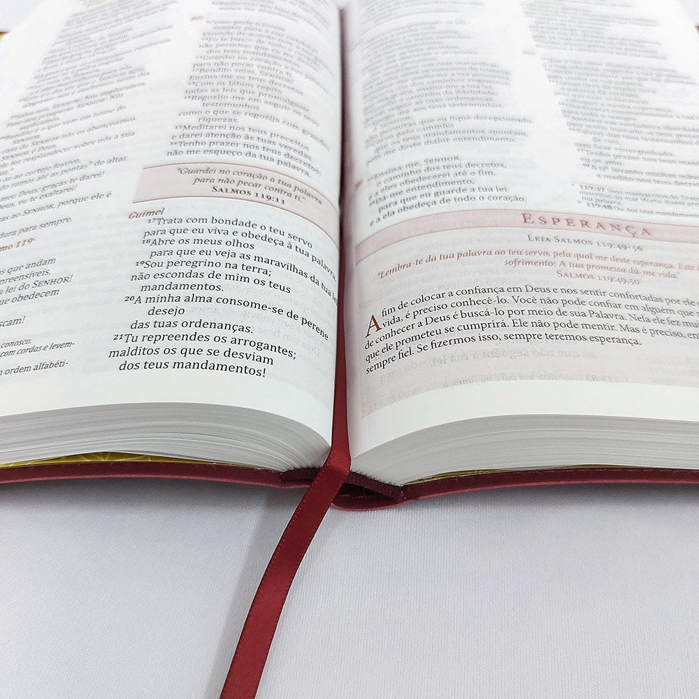 Bíblia da Mulher de Fé | NVI | Comentários Sheila Walsh | Capa Luxo Vinho