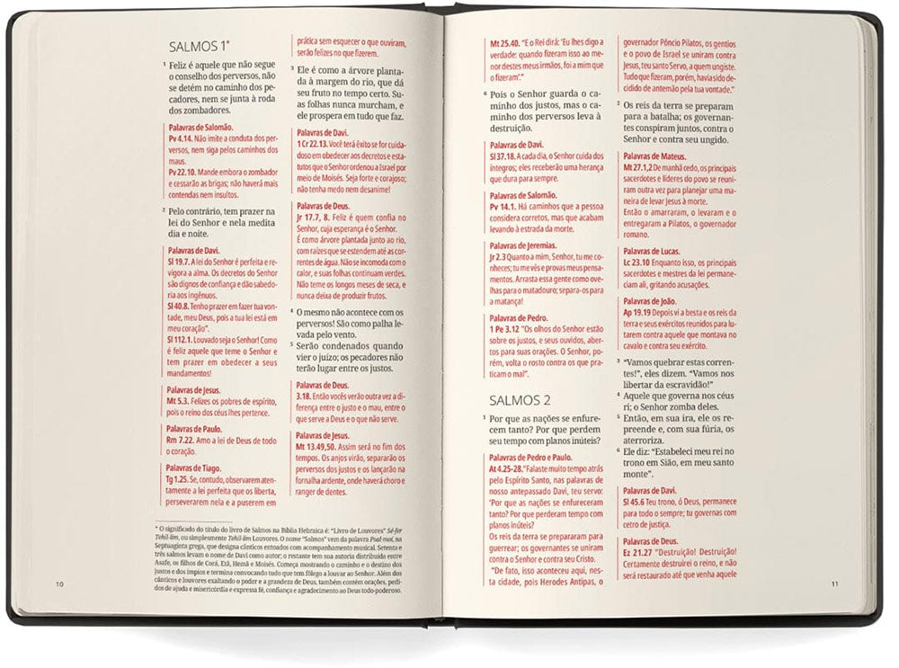 Bíblia Contexto | Salmos e Provérbios | NVT | Capa Dura | Ornamentos