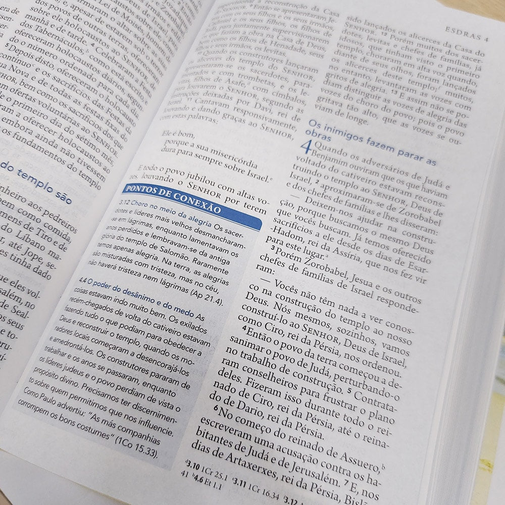Bíblia Além do Sofrimento | NAA | Letra Normal | Vinho
