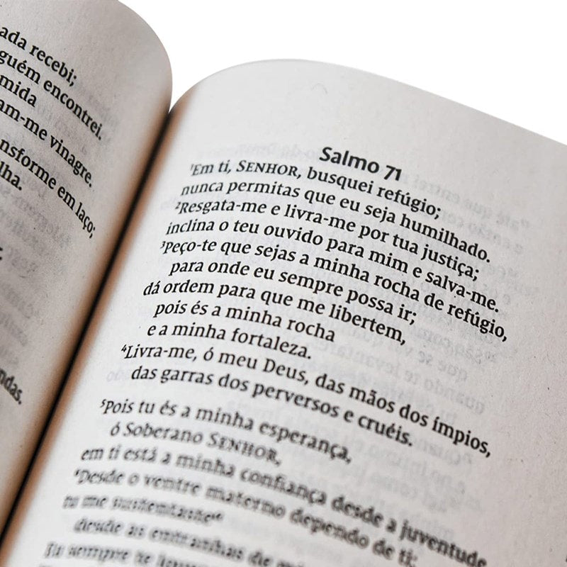 Kit de 10 Bíblias Capa Pop | NVI | Leitura Perfeita | Brochura