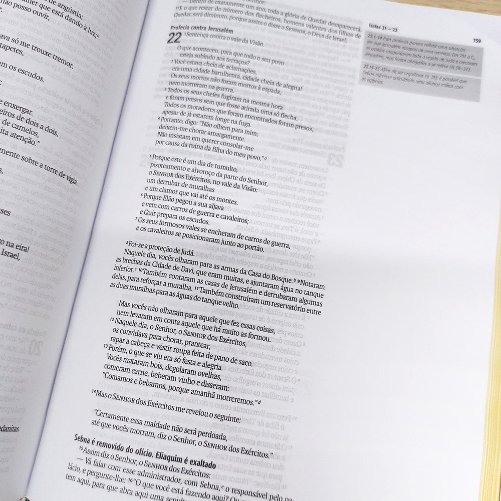 Bíblia Sagrada Jornada Pensamentos de Paz | NAA | Letra Normal | Com espaços para anotações