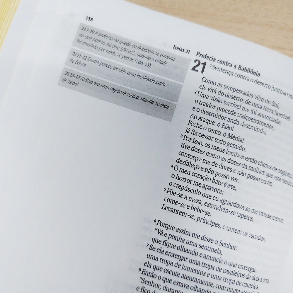 Bíblia Sagrada Jornada Pensamentos de Paz | NAA | Letra Normal | Com espaços para anotações