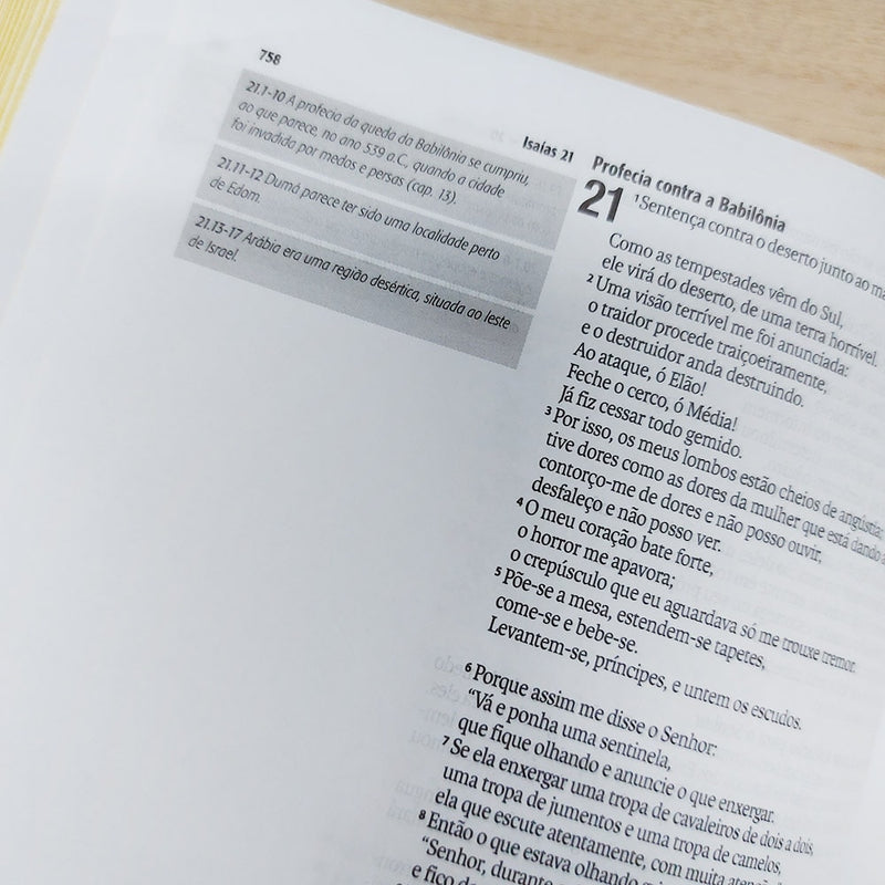 Bíblia Sagrada Jornada Mandamento | NAA | Letra Normal | Com espaços para anotações