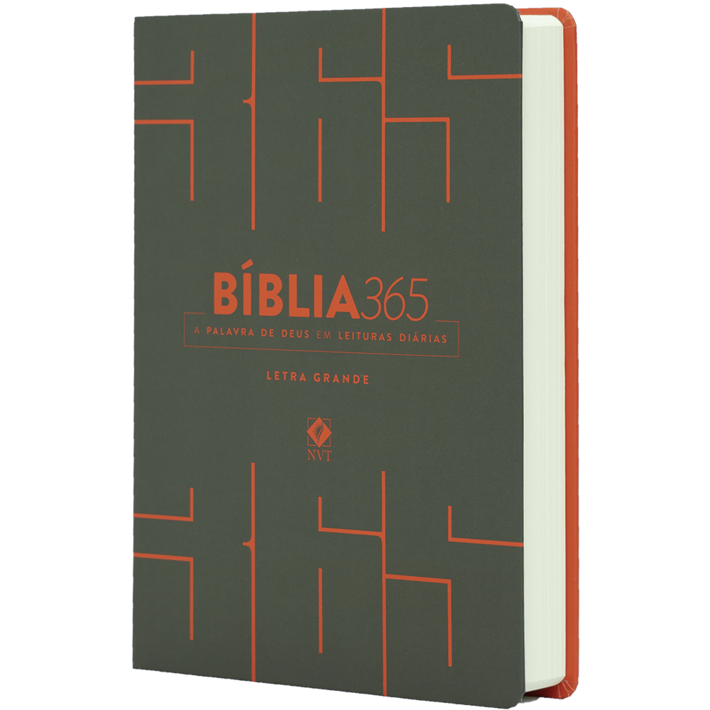 Bíblia 365 Cinza | NVT | Letra Grande | Capa Dura