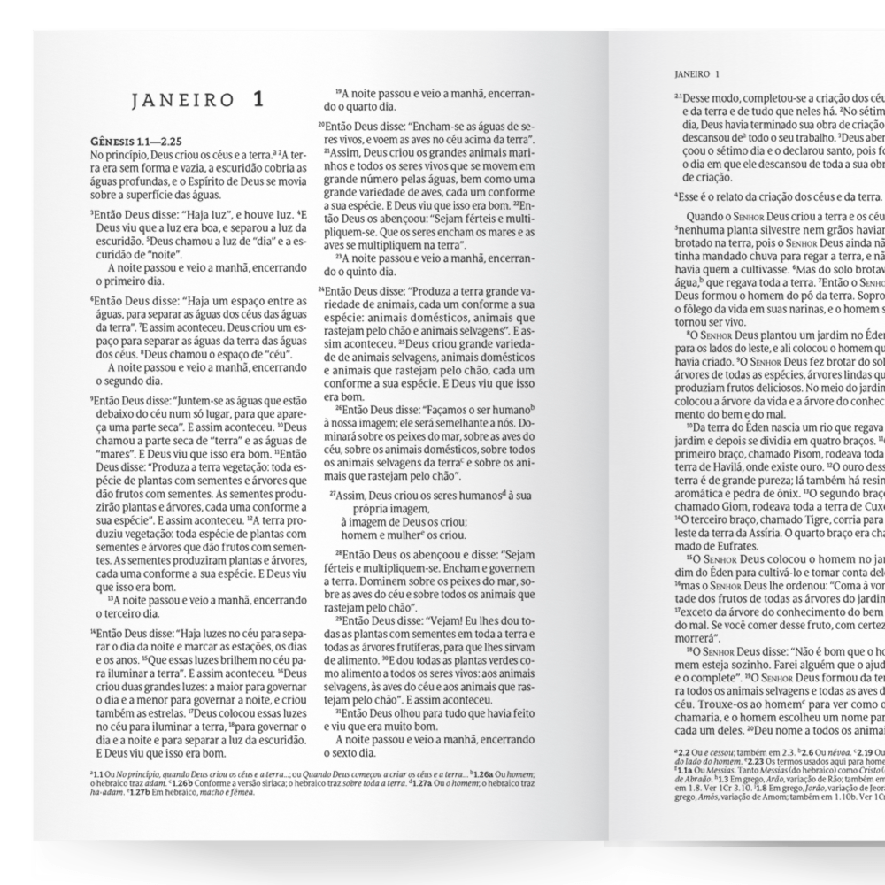 Bíblia 365 Cinza | NVT | Letra Grande | Capa Dura