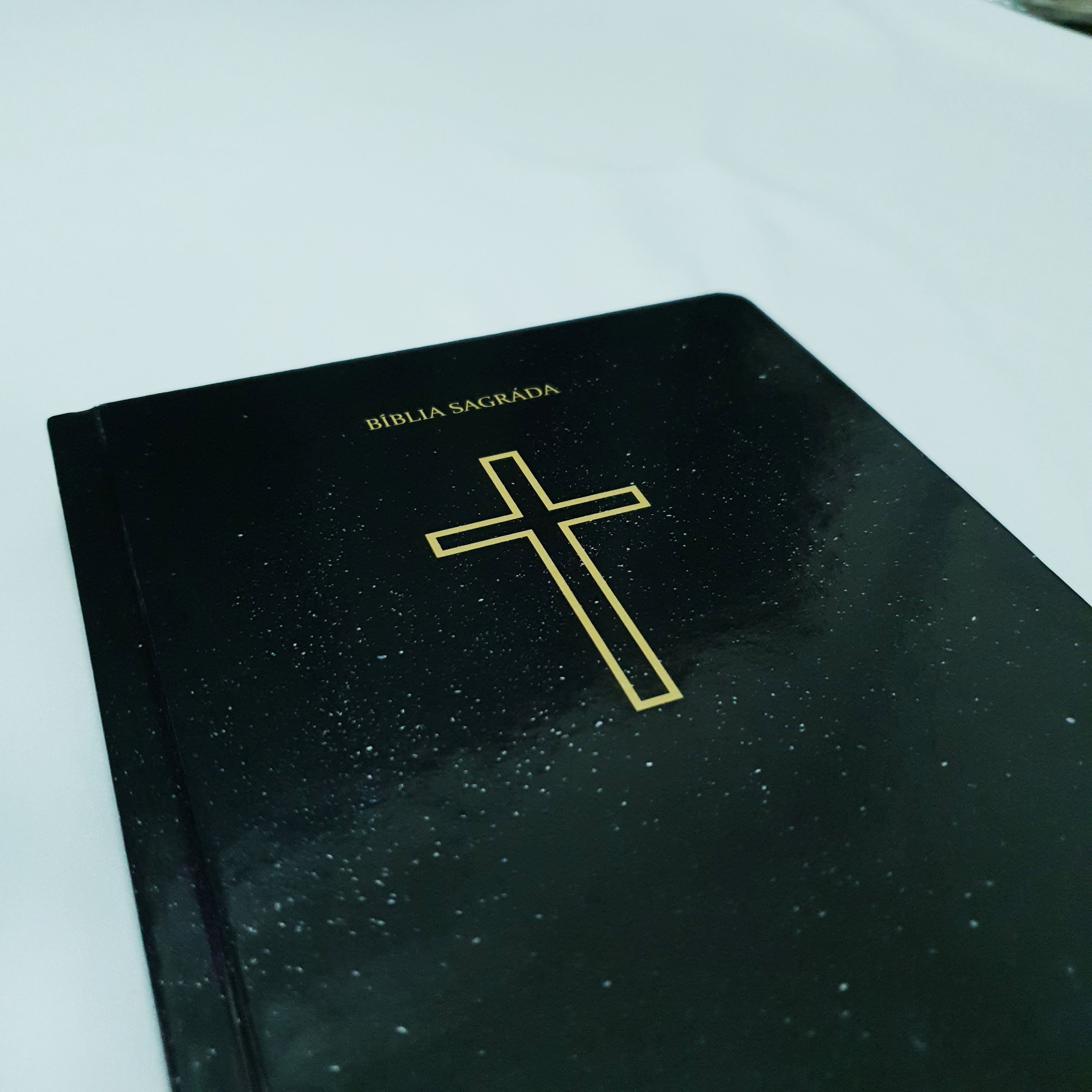 Bíblia Sagrada Salvos pela graça | NVI | Letra Normal | Capa Dura