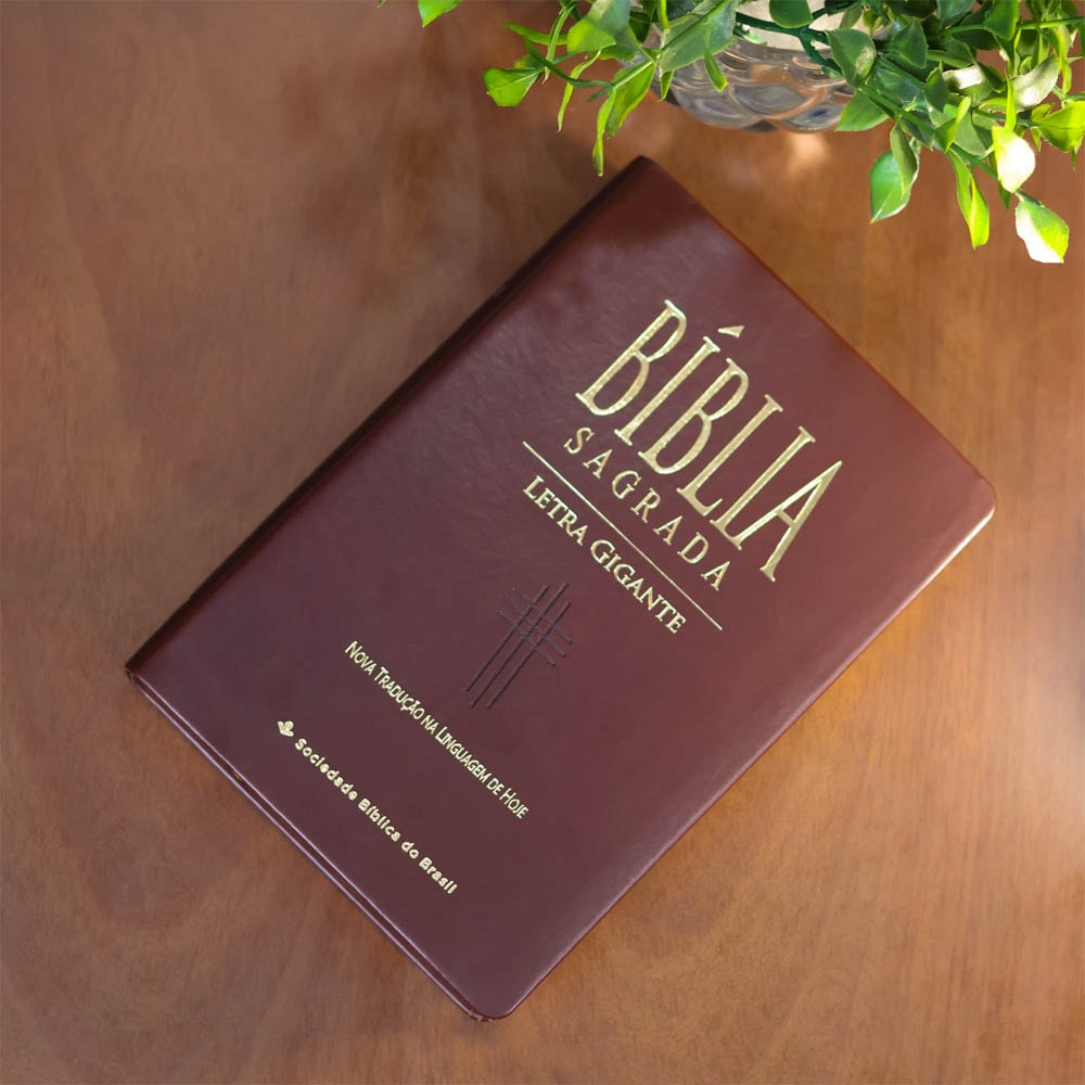 Bíblia Sagrada | Letra Gigante | NTLH | Capa Marrom Nobre