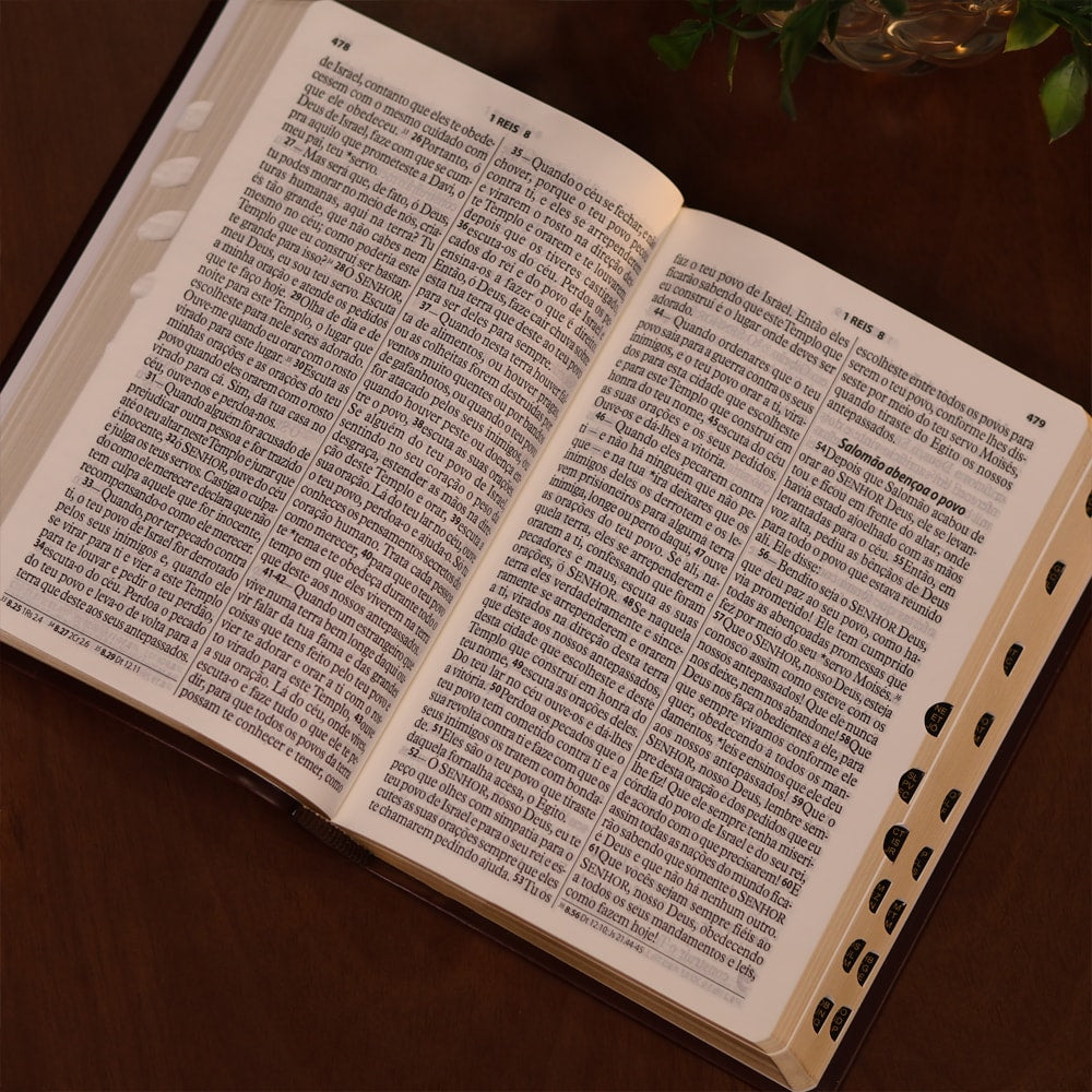 Bíblia Sagrada | Letra Gigante | NTLH | Capa Preta Nobre