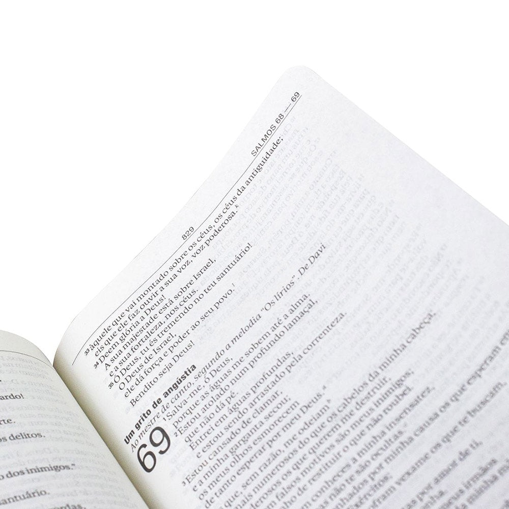 Bíblia Sagrada Média | NAA | Letra Grande | Capa Marrom Luxo