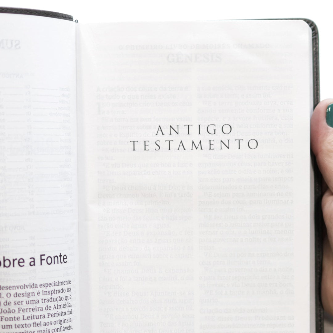 Bíblia Sagrada | ACF | Leitura Perfeita | Letra Grande | Couro Soft Cinza