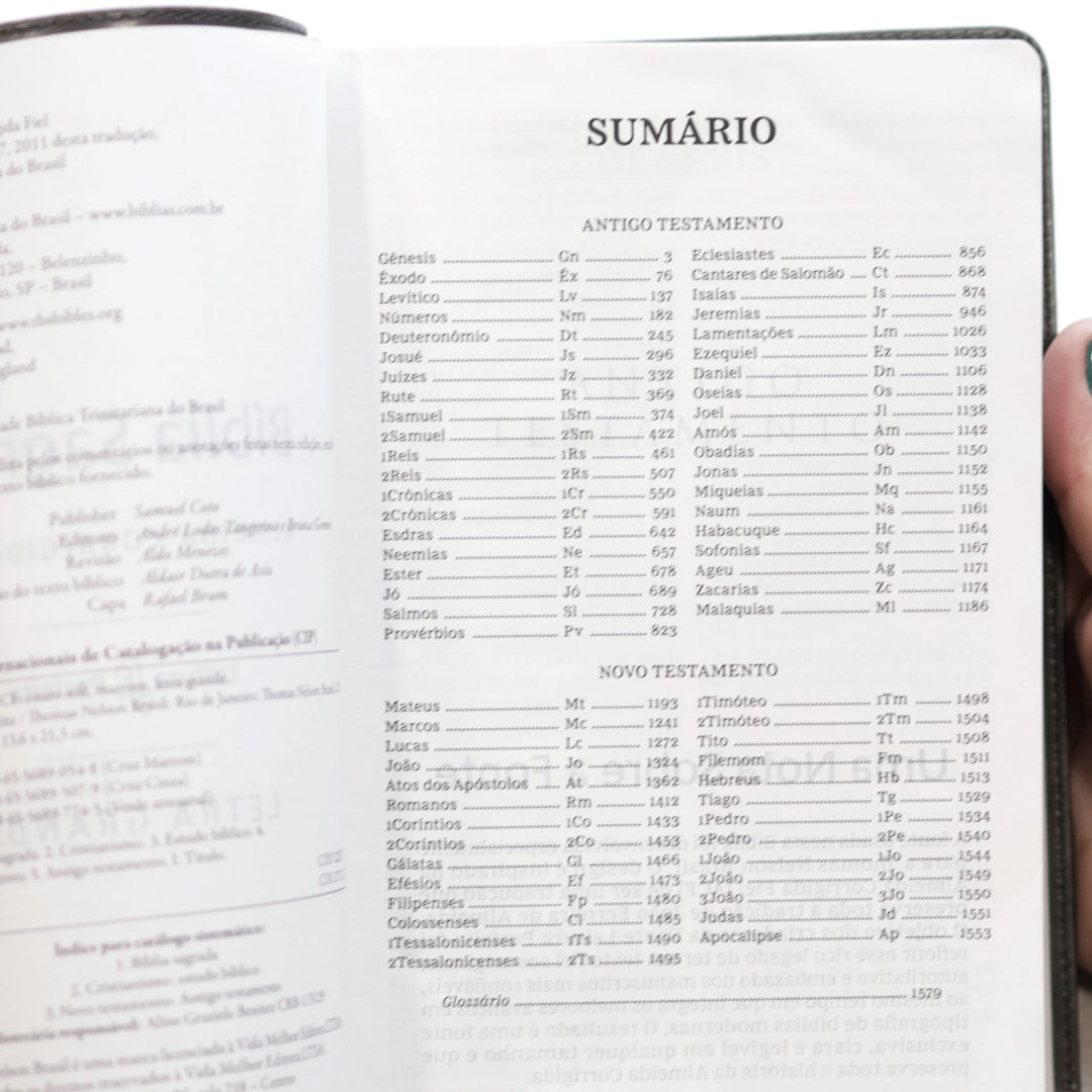 Bíblia Sagrada | ACF | Leitura Perfeita | Letra Grande | Couro Soft Cinza