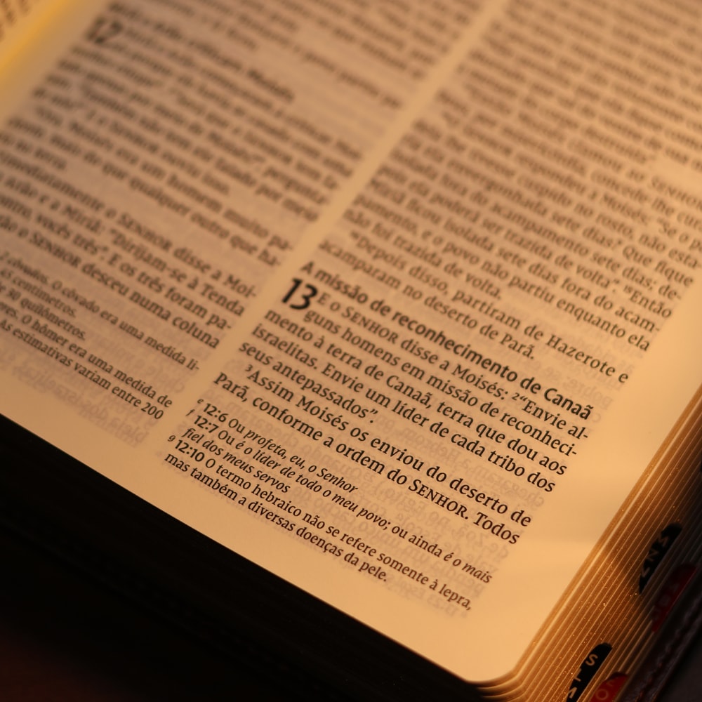 Bíblia Sagrada | NVI | Leitura Perfeita | Couro Soft Marrom | Com Índice