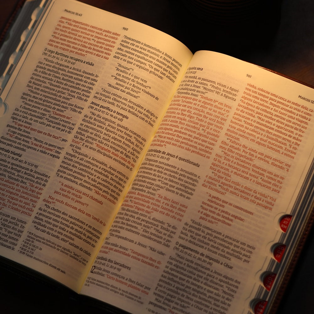 Bíblia Sagrada | NVI | Leitura Perfeita | Couro Soft Marrom | Com Índice