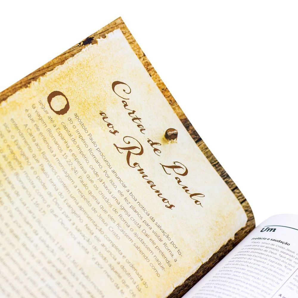 Bíblia NT Verbo | NAA | Capa Jesus