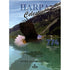 Harpa Celestial 774, Super Legível, Águia. — Plenitude