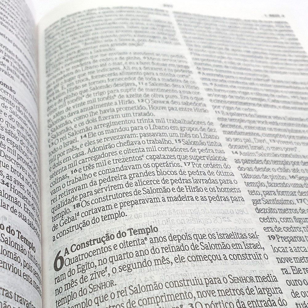 Bíblia Sagrada Leão Artístico | NVI | Letra Normal | Capa Dura