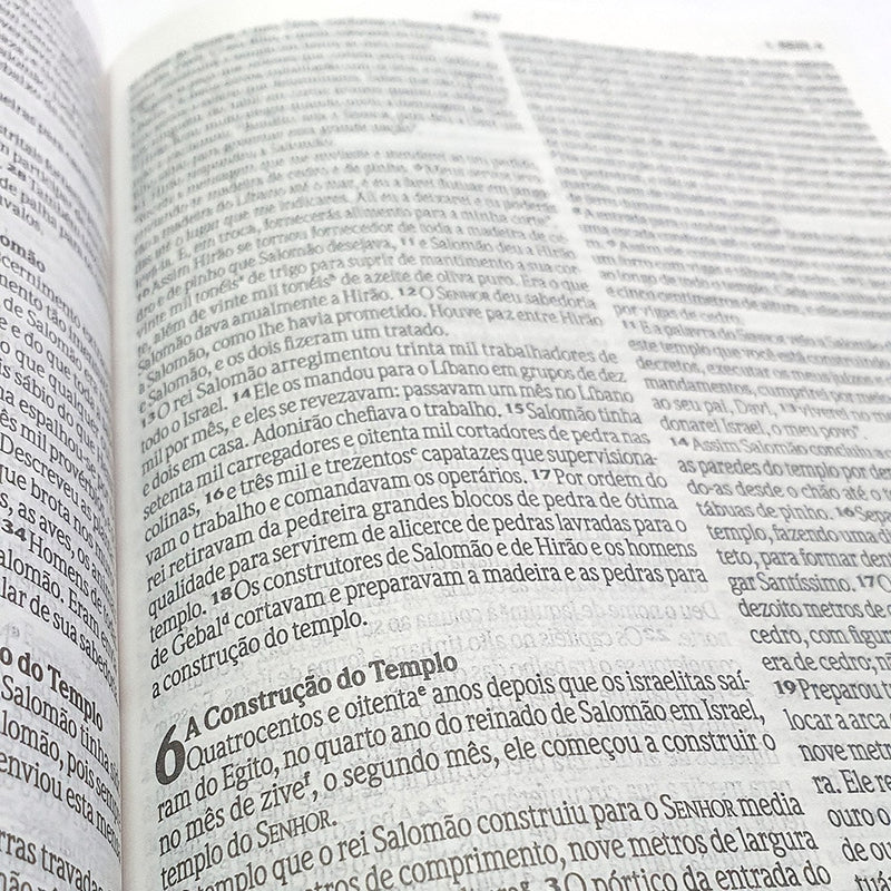 Bíblia Sagrada Leão Artístico | NVI | Letra Normal | Capa Dura
