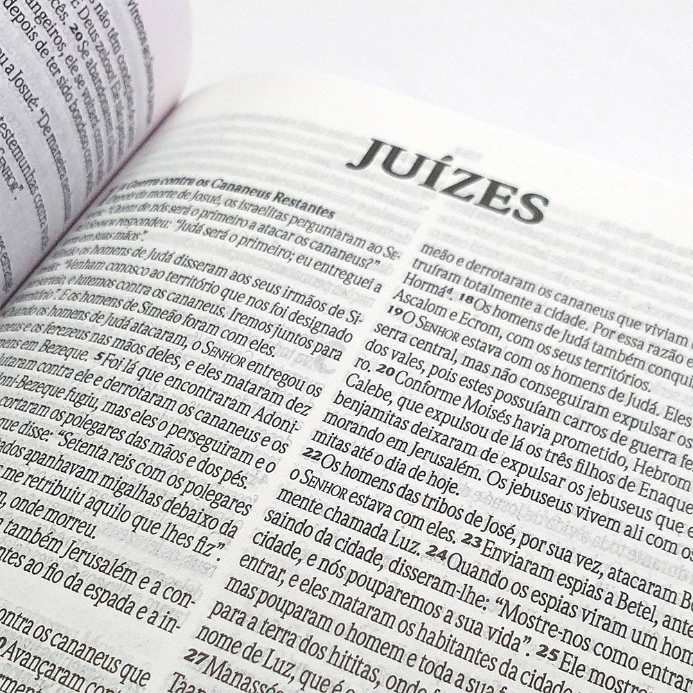 Bíblia Sagrada | NVI | Letra Normal | Capa Dura Marrom