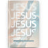 Bíblia NVT capa dura com design abstrato em tons pastel e a palavra "JESUS" repetida, com "NOVA VERSÃO TRANSFORMADORA" na base — Plenitude