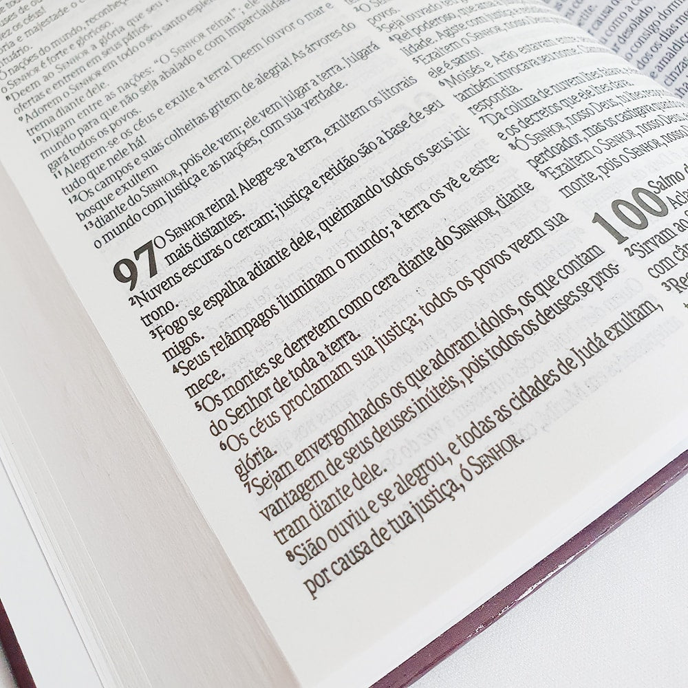 Bíblia Sagrada Feminina Flores | NVT | letra Normal | Capa Dura