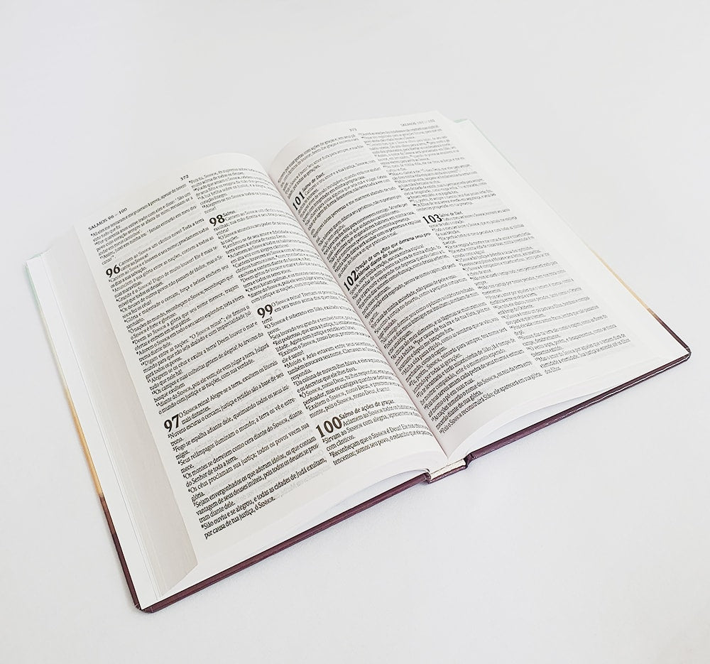 Bíblia Sagrada Jesus Cristo É | NVT | letra Normal | Capa Dura
