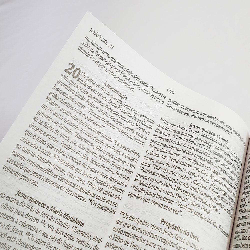 Bíblia Sagrada Jesus Cristo É | NVT | letra Normal | Capa Dura